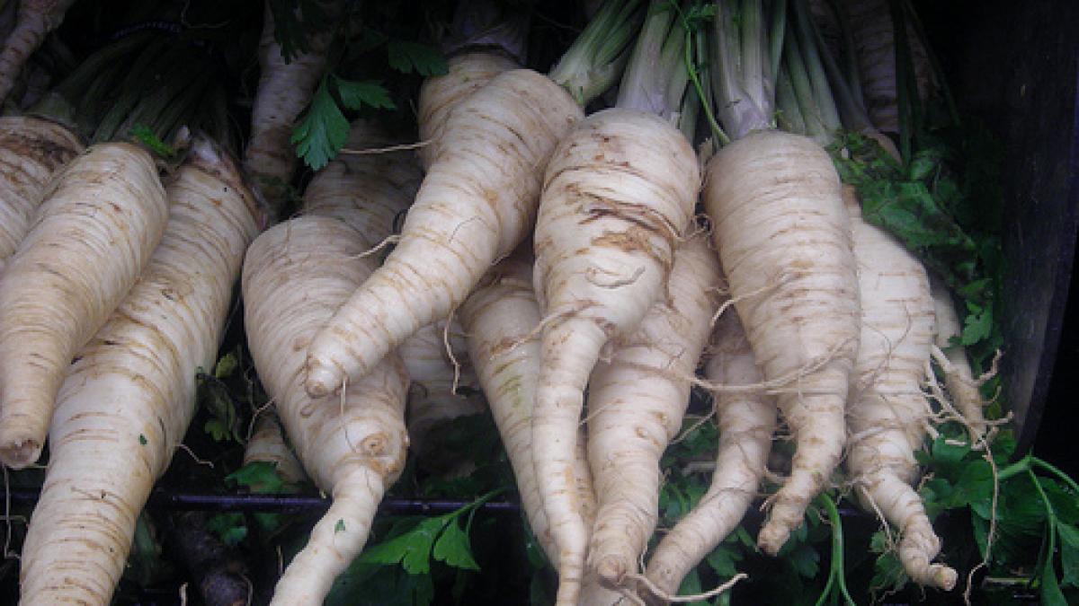 legumele pe care le consumi zilnic adevarati distrugatori ai celulelor canceroase