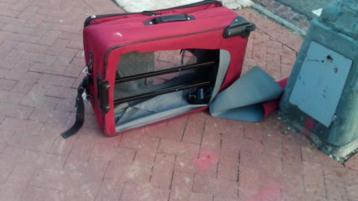 alarma cu bomba la braila doua genti suspecte abandonate pe o strada au pus pe jar genistii