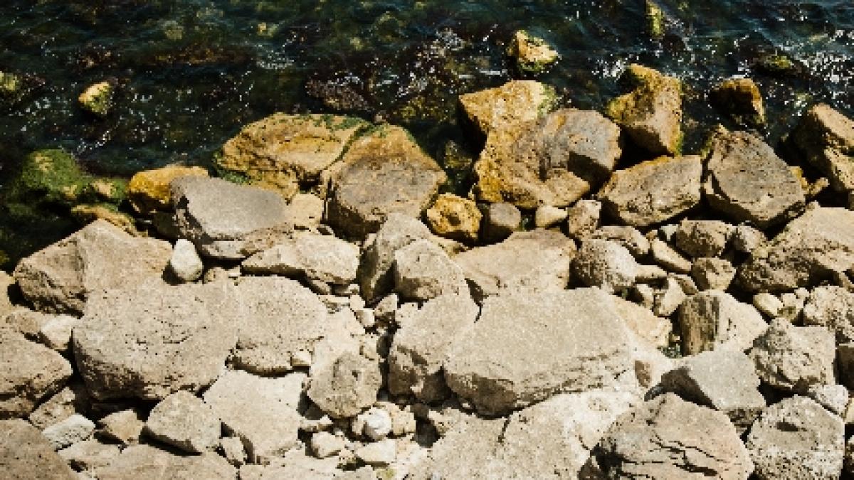 un consul general al rusiei a murit in japonia dupa ce a cazut accidental de pe o faleza