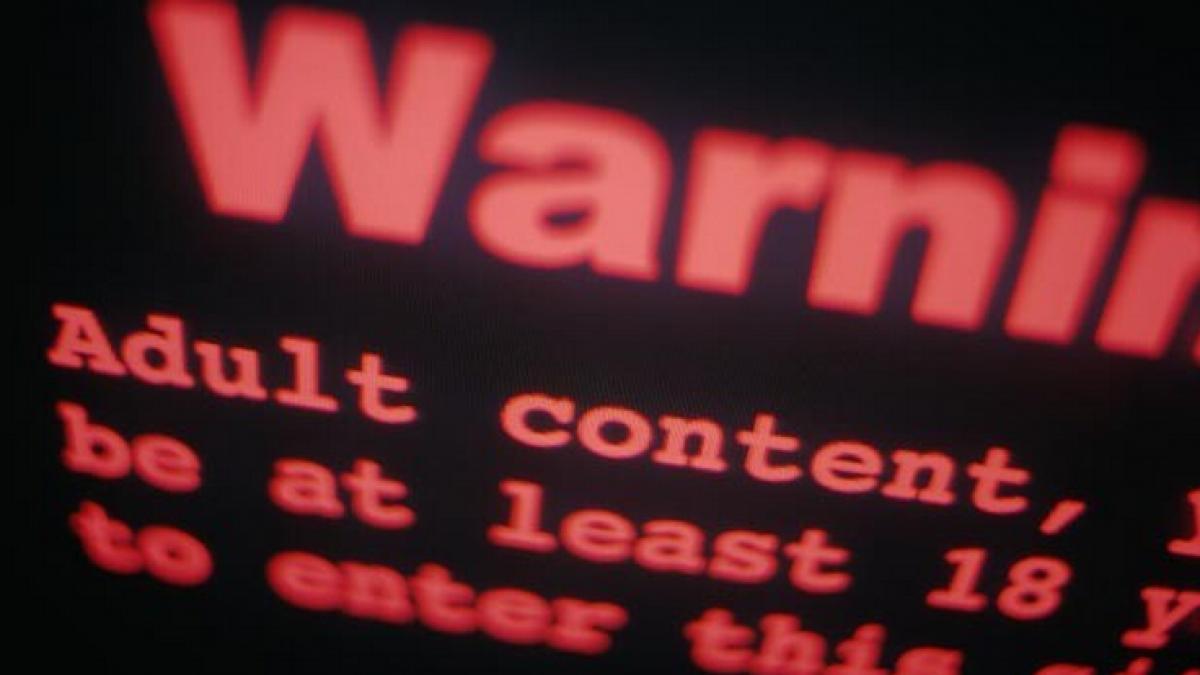 surpriza pe care o au cei care acceseaza site urile xxx nu ele sunt cele mai bogate in virusi