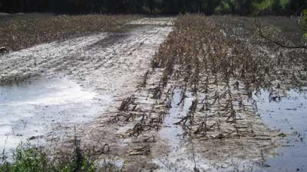 campania electorala trebuie pusa pe locul doi autoritatile din cele 12 judete sub cod portocaliu