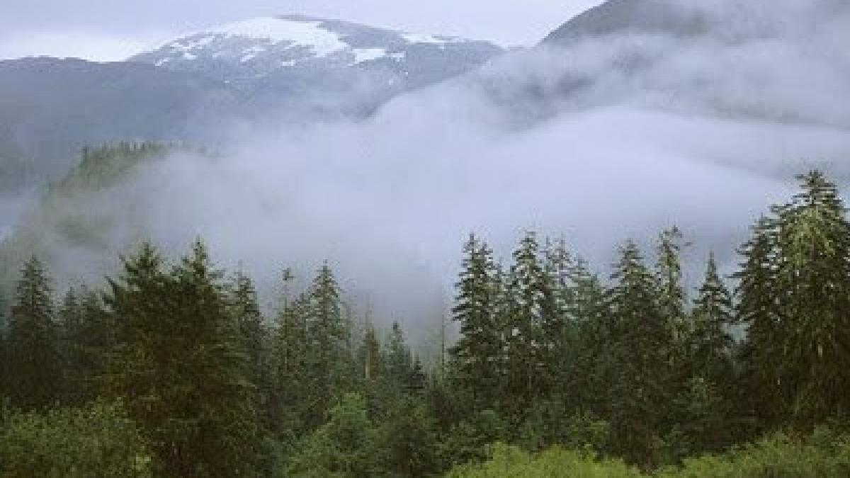 lapovita si ninsori la sfarsitul lunii mai scenariul incredibil devenit realitate