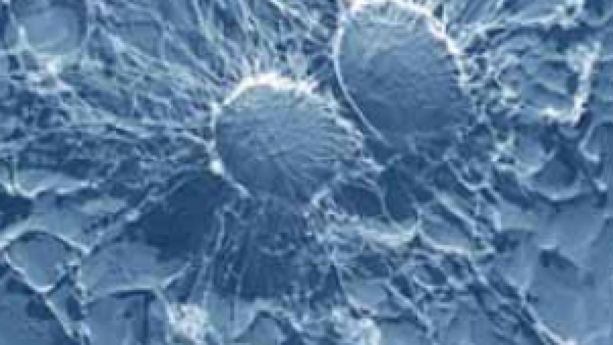 medicamentul care aduce speranta oamenii de stiinta cred ca au descoperit leacul impotriva