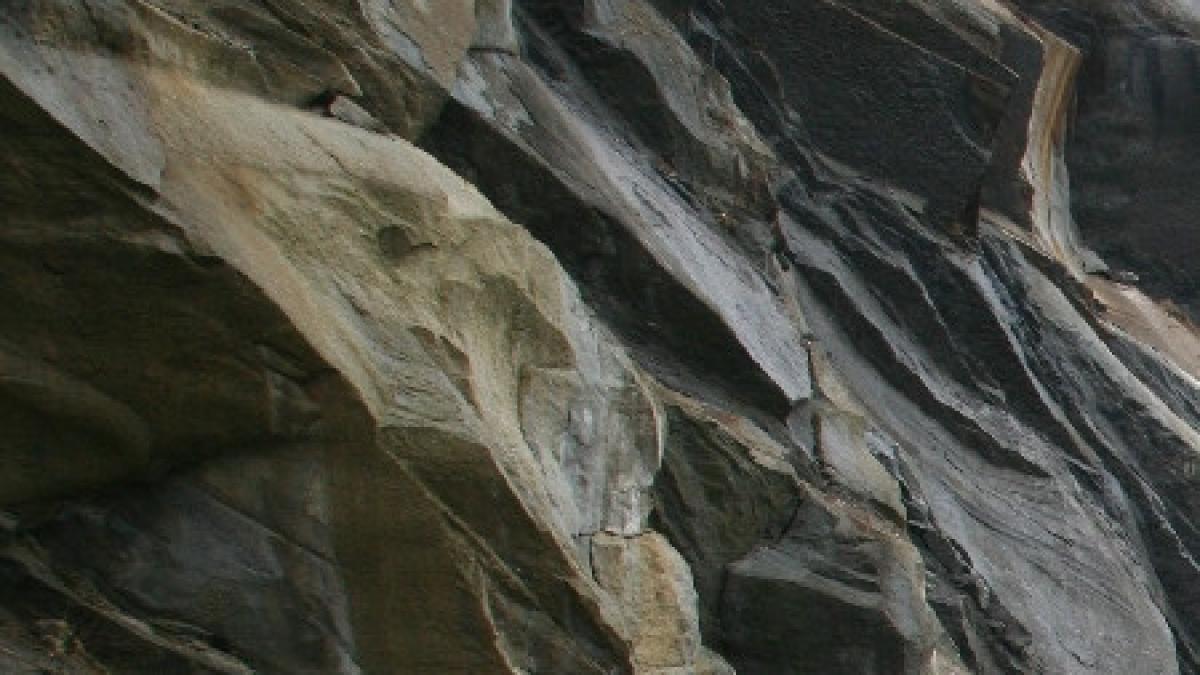 vei fi uimit sa afli ce preferau stramosii nostri sa sculpteze pe peretii adaposturilor