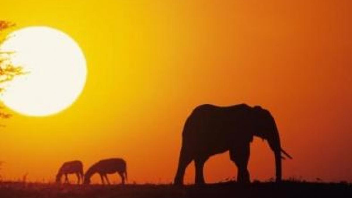 africa de sud un taram al fagaduintei pentru investitori