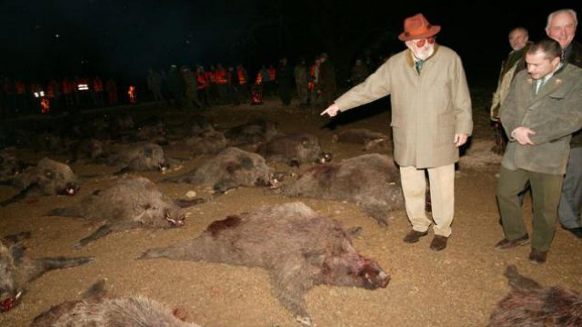 codrut marta titular in echipa vanatorilor de la balc