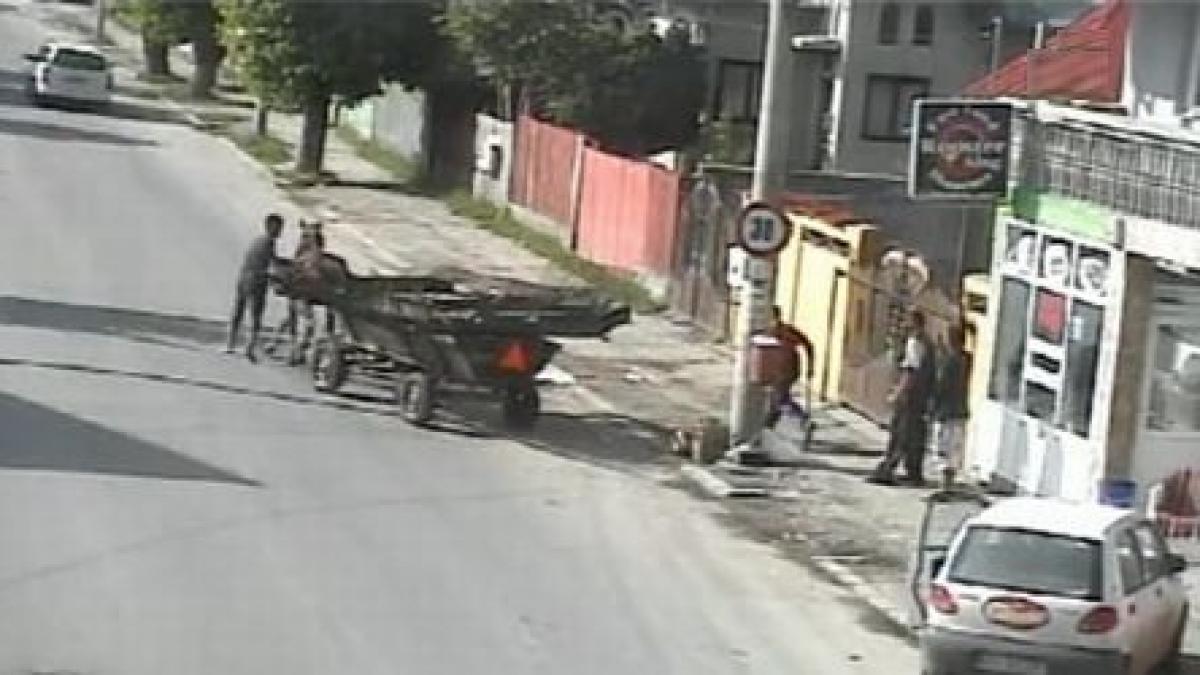 hotii de fier vechi au ravnit la custile animalelor de la zoo