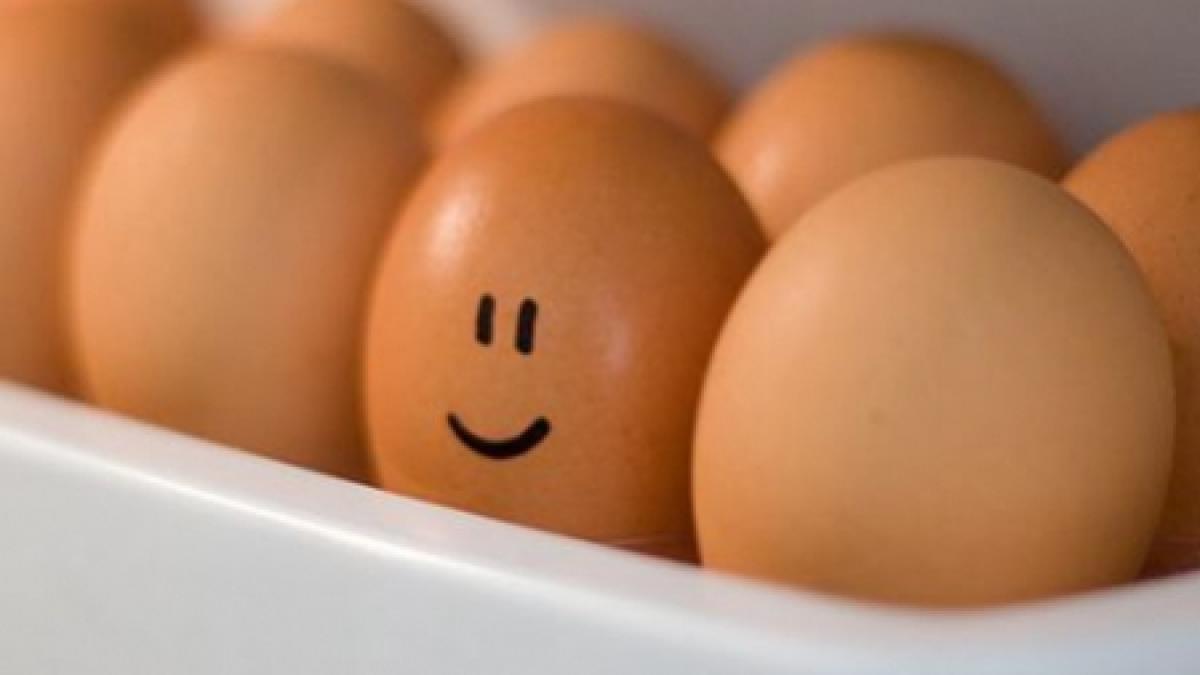 ipad urile mana cereasca pentru fermieri o gaina singuratica face oua uitandu se la clipuri cu alte