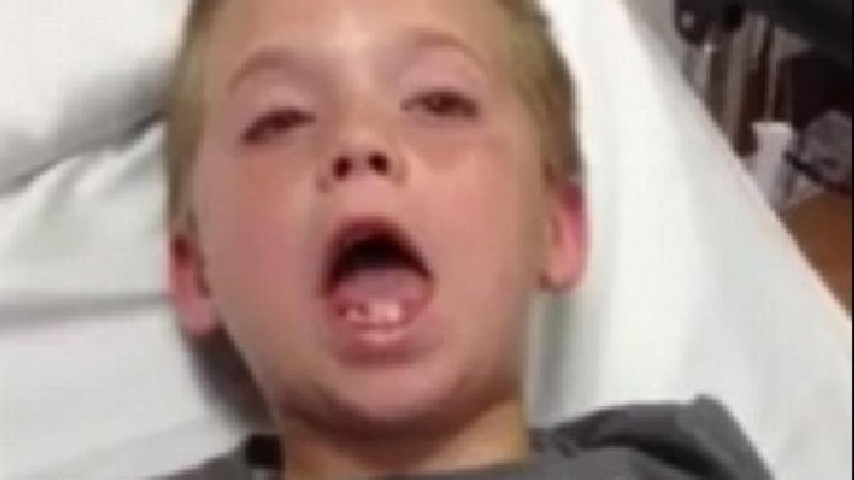 jumatate de milion de oameni au ras in hohote dupa ce au vazut imaginile cum reactioneaza un pusti