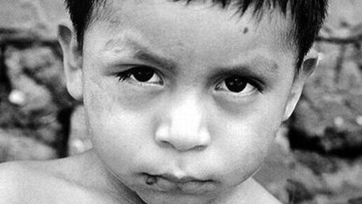 noua sida maladia transmisa de insecte care provoaca panica in america