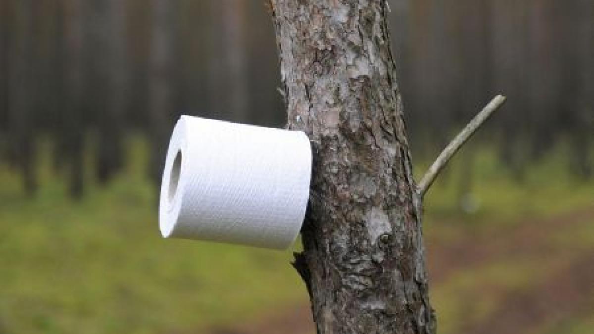 o rezerva de hartie igienica cat casa poporului 25 000 de euro pentru curatenia deputatilor