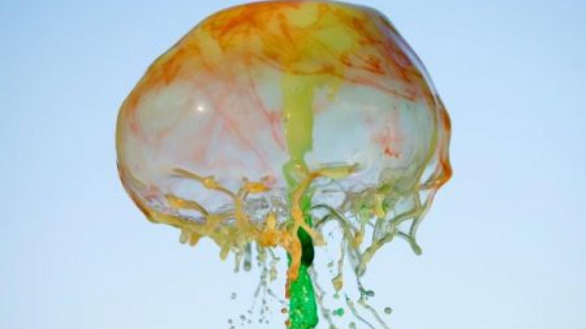 opere de arta la secunda stropii de culoare care schimba perceptia despre fotografie