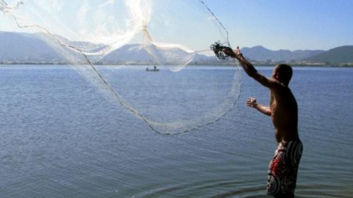 cele mai tari poze facute la momentul potrivit vezi aici o galerie foto de exceptie