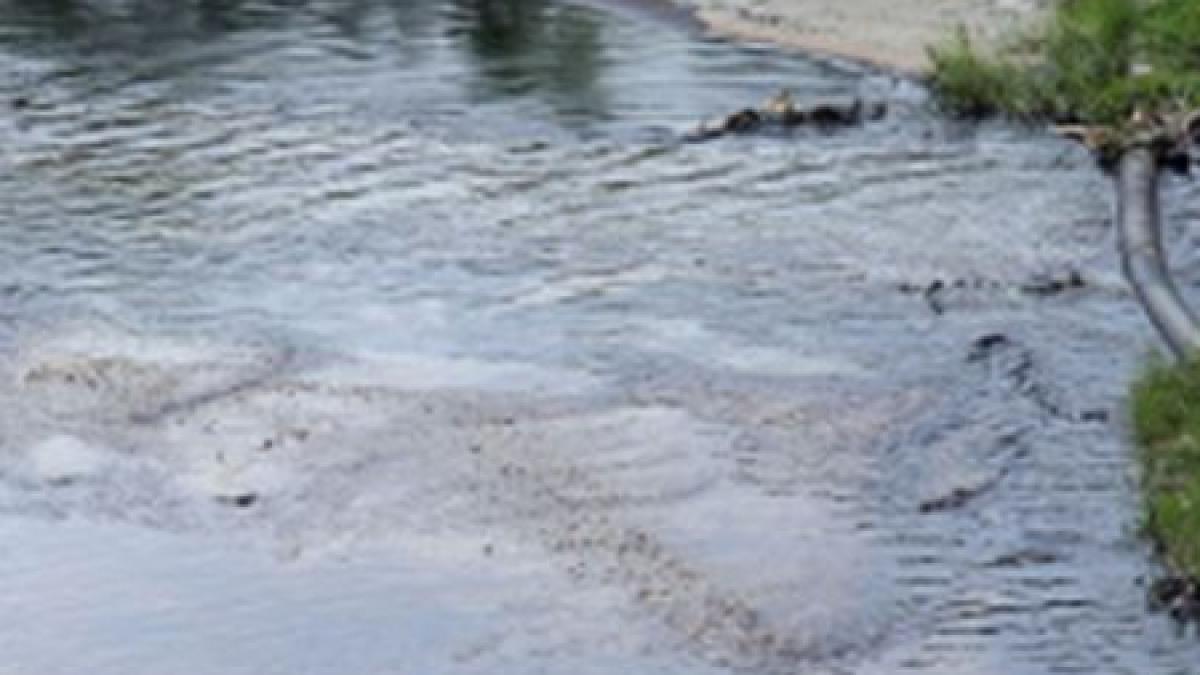 raul oltet a fost poluat cu titei circa 40 de tone de material absorbant vor fi imprastiate pentru