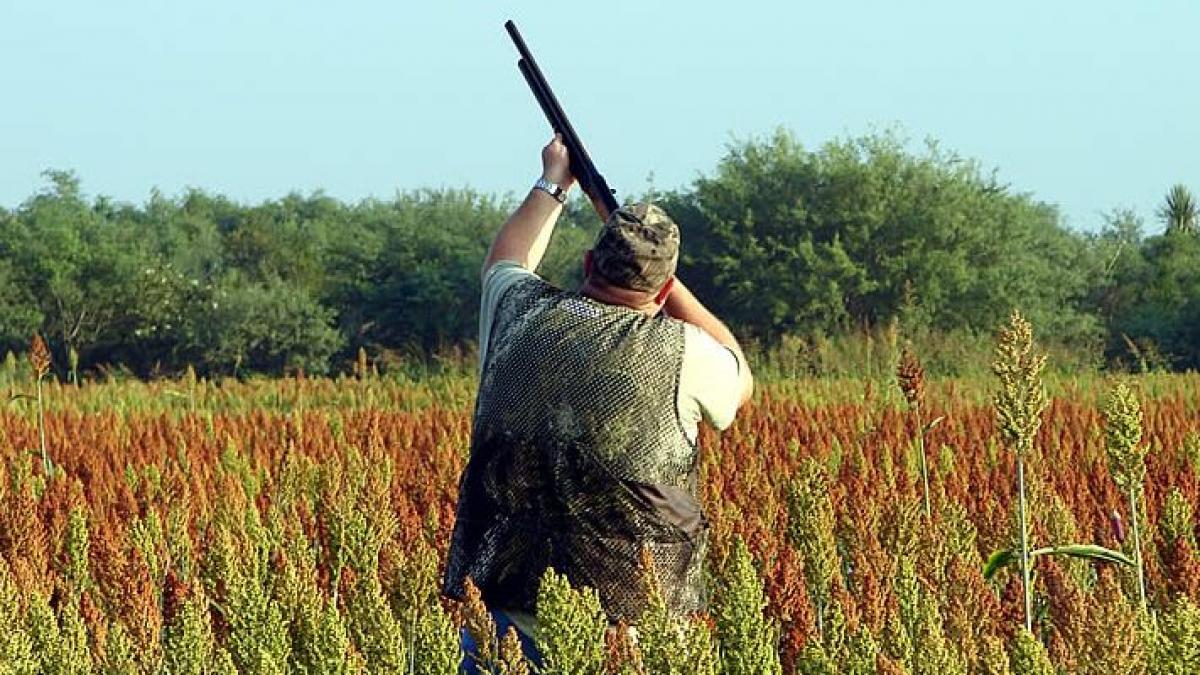 relaxare cu pusca la ochi