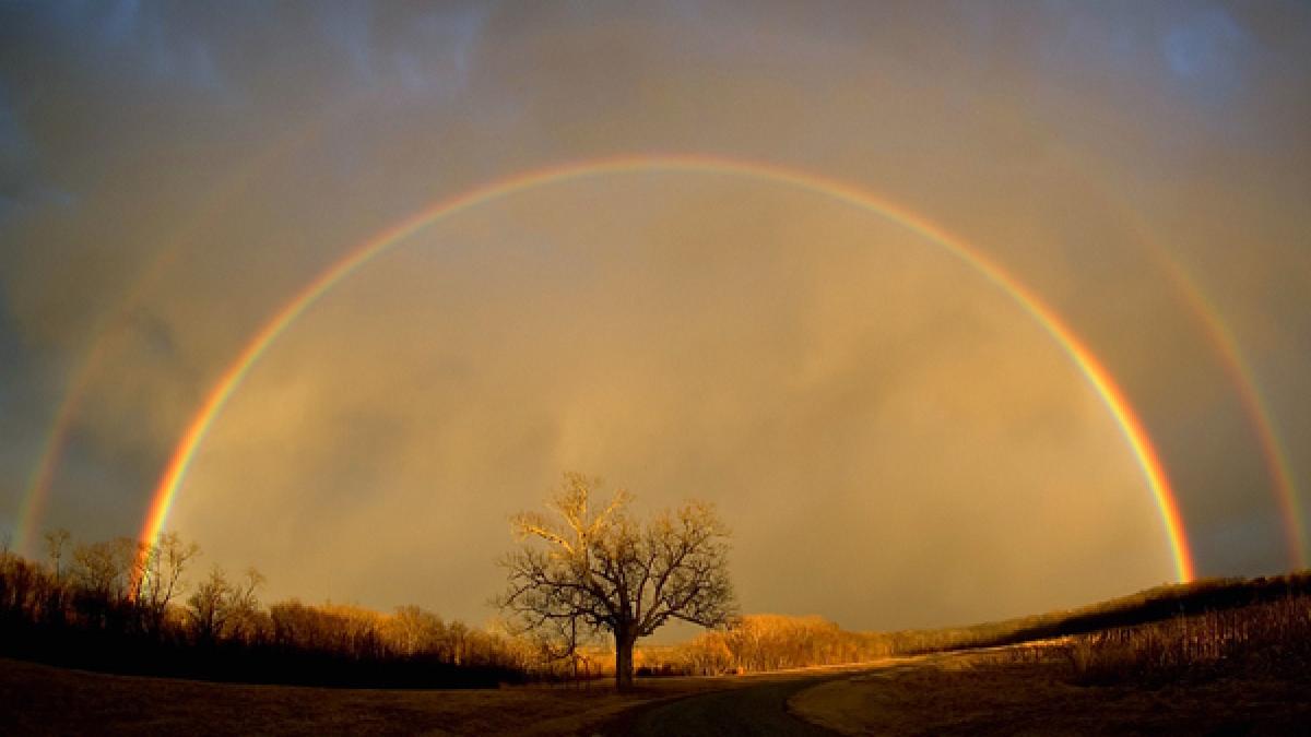 bolta cereasca invadata de culori arcuri multicolore de senzatie