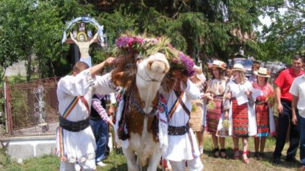 corida pe strazile unei comune de langa orasul dej ce traditie au tinerii de rusalii