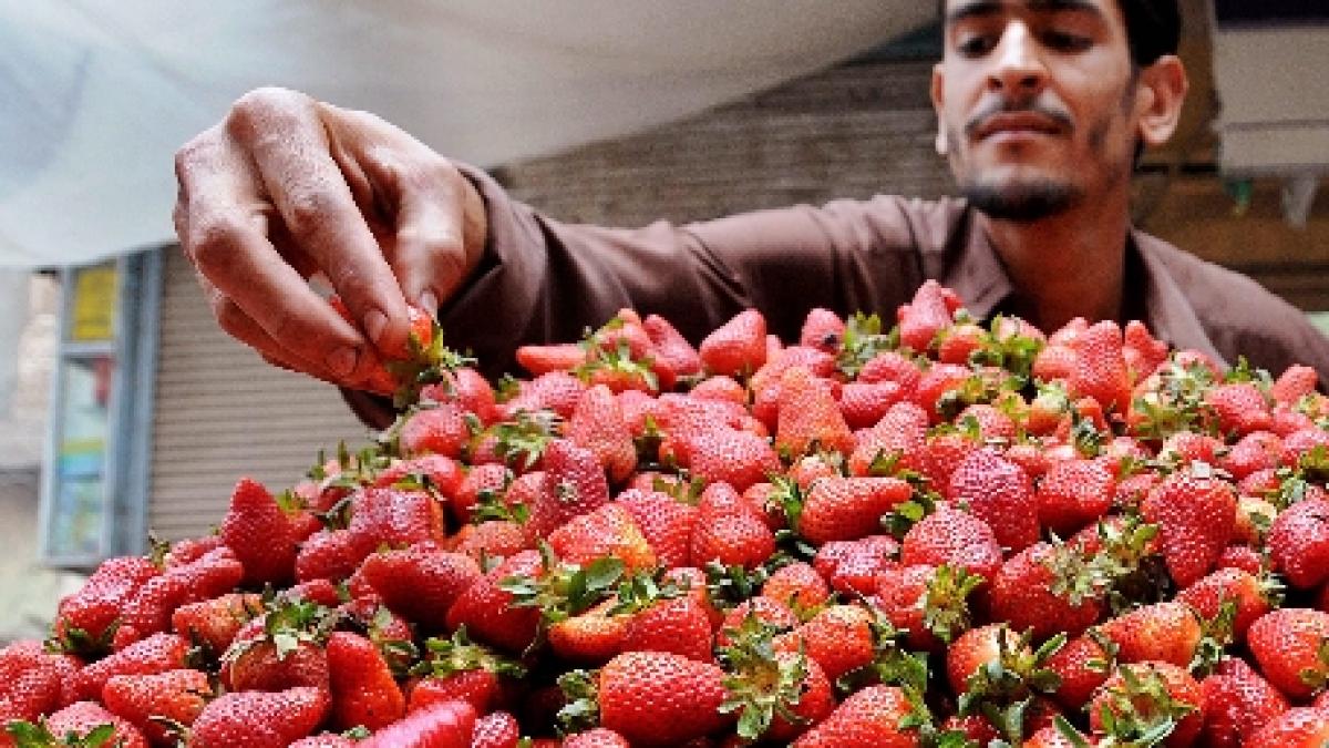 studiu greenpeace fructele si legumele pe care le mancam zilnic sunt pline de pesticide