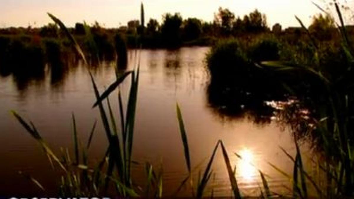 delta in mijlocul capitalei vezi care va fi oaza de liniste a bucurestenilor