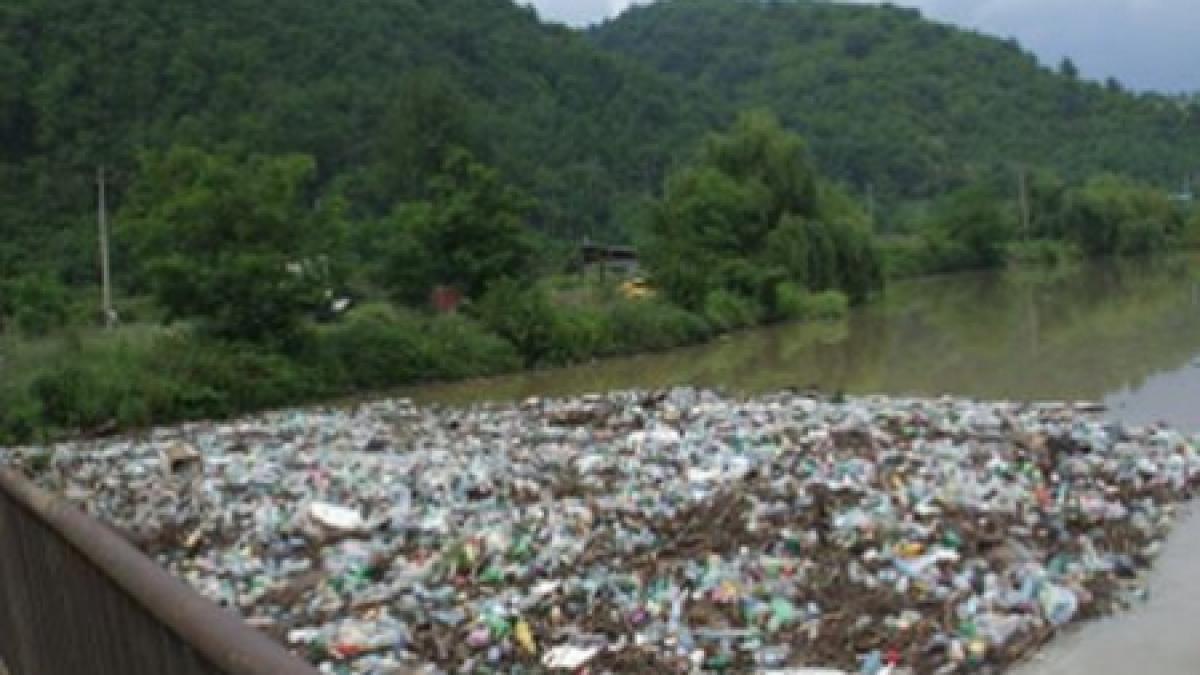 dunarea seamana cu o groapa de gunoi galatenii sufocati din cauza mirosului greu si neplacut