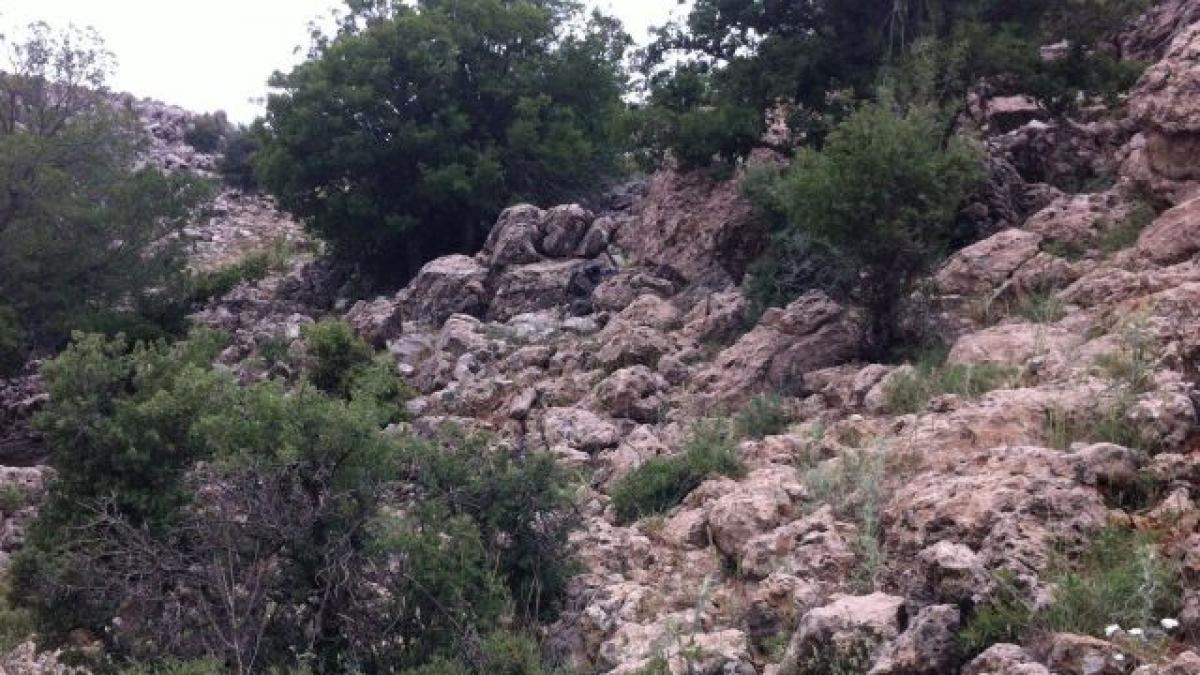 secretul care ii face pe americani cei mai de temut oameni din lume e in aceasta imagine