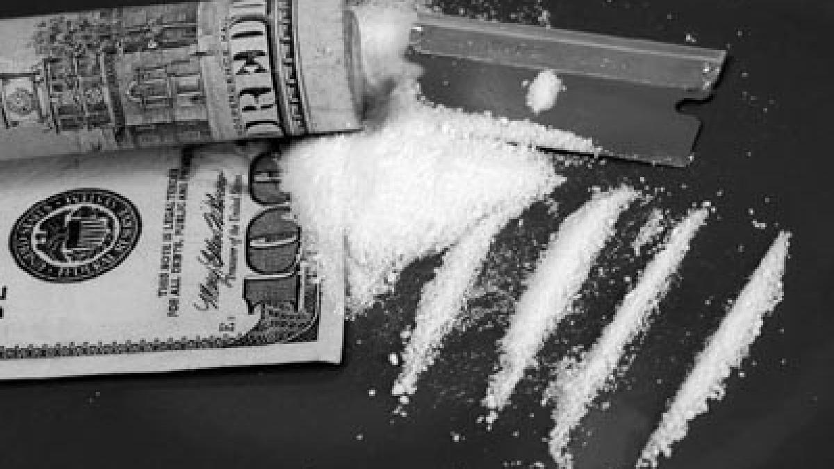 studiul facut de columbieni care arata drumul mortii albe bancile occidentale se imbogatesc de pe