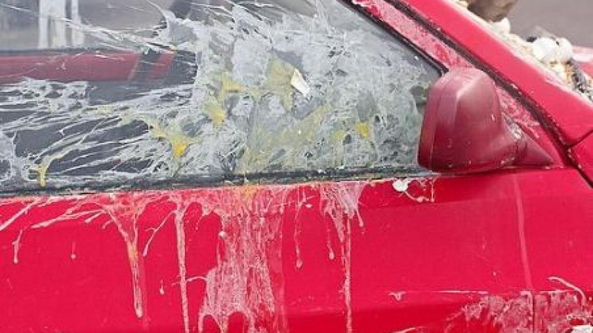 vaslui masina de campanie a usl lovita cu oua de sora unui candidat pdl