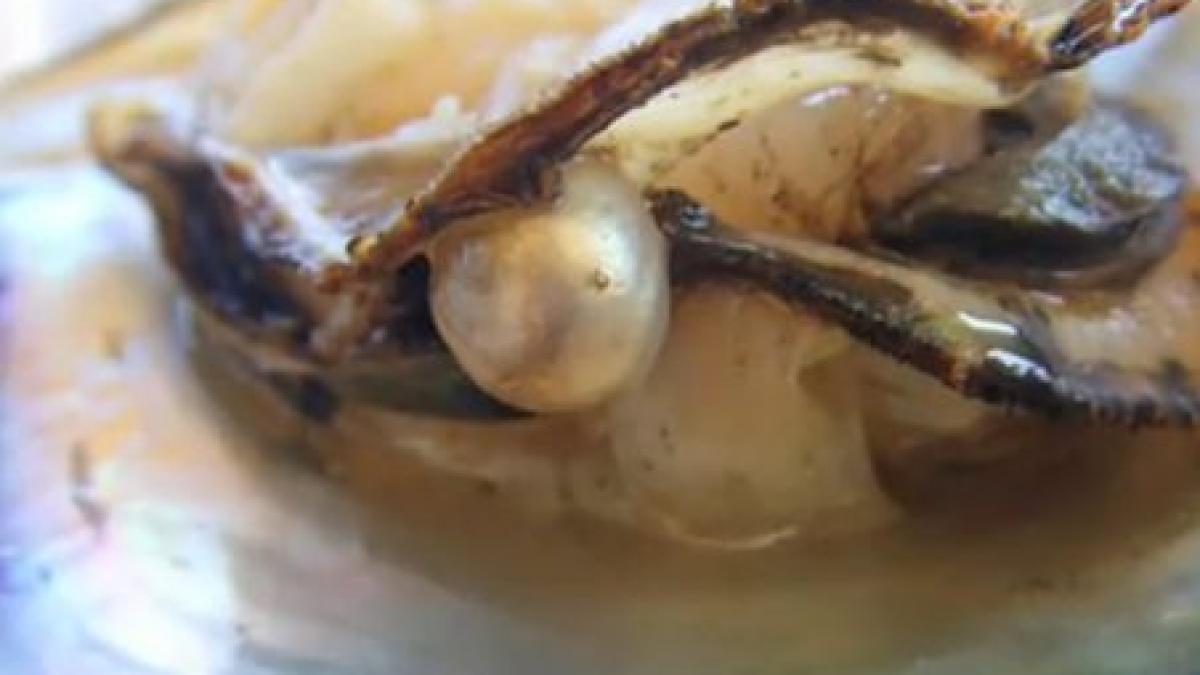 a fost descoperita cea mai veche perla din lume vezi de cand dateaza si unde a fost descoperita