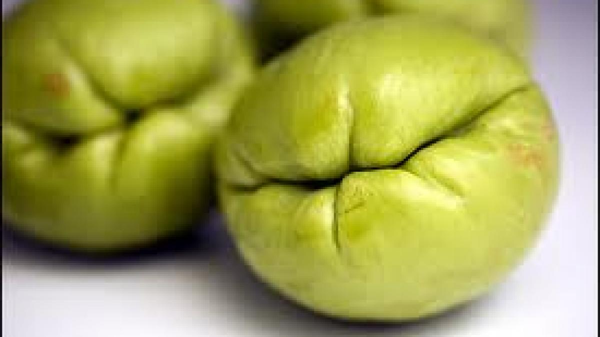 agronomii ecuadorieni au descoperit o super leguma este delicioasa si nici nu ingrasa