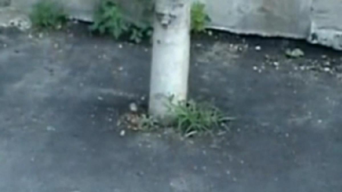 orasul popesti leordeni se apropie de zona metropolitana bucuresti ilfov cum s a dezvoltat in