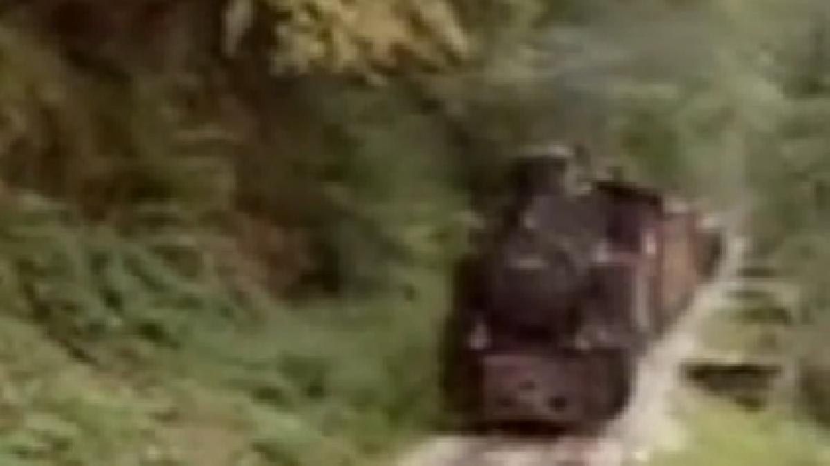 mocanita simbolul muntilor apuseni a fost repusa pe sine