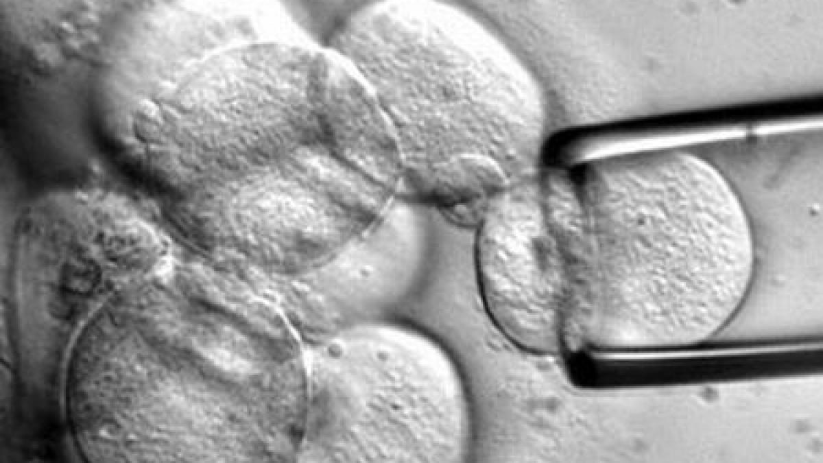 o noua speranta pentru cardiaci celulele stem folosite in tratamentul infarctului