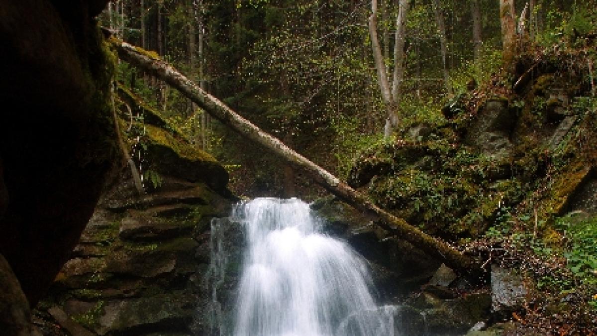 vrancea un barbat a murit dupa ce a cazut de pe stanci