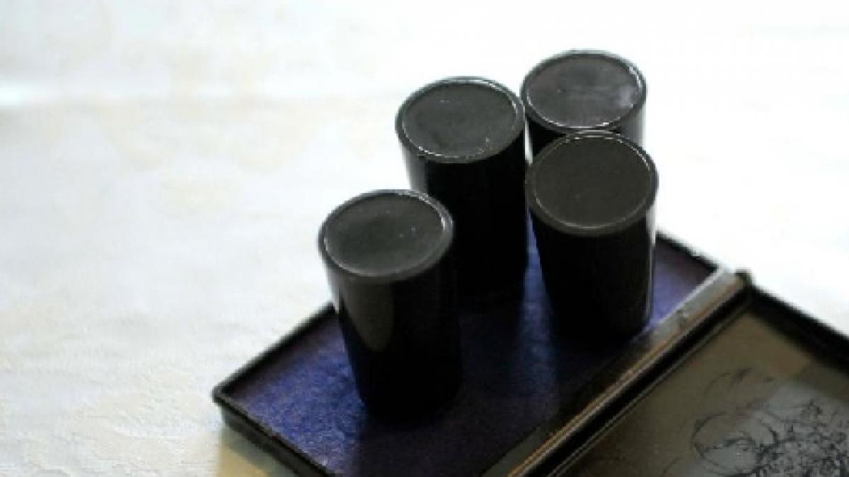 alba o batrana a plecat cu stampila de vot in tocul de ochelari dupa ce a votat