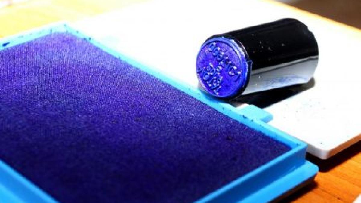 neregulile de la urne udrea a votat cu telefonul in mana peste 680 de incidente electorale semnalate