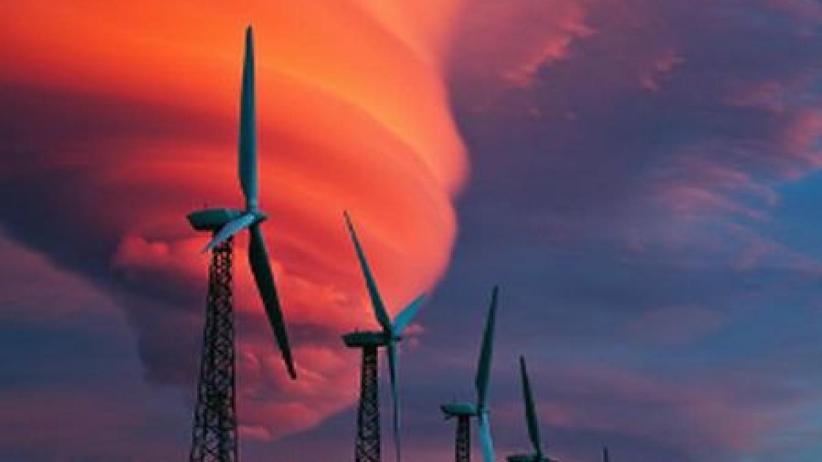 pirateria este o realitate trebuie sa acceptam si sa ne adaptam regizorul care a folosit bunul simt