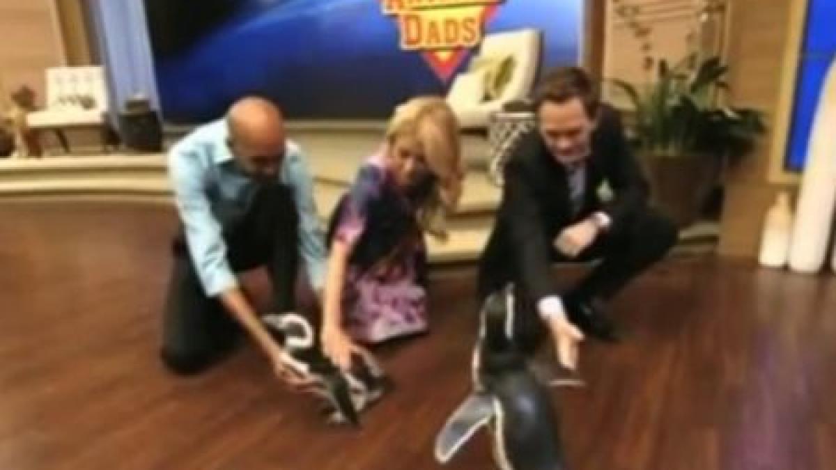 cand inviti animale in emisiune trebuie sa te astepti la orice