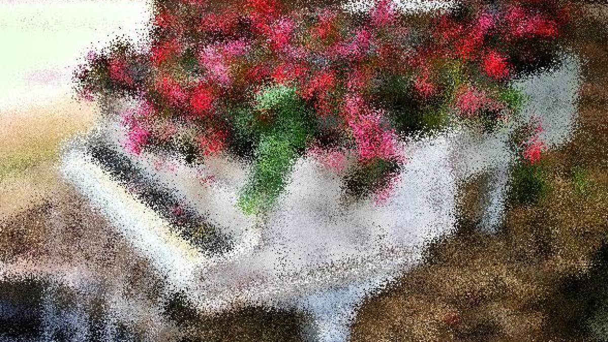 fotografia zilei cand creativitatea si originalitatea nu cunosc limite