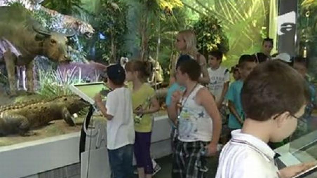 scoala de vara a muzeului antipa o solutie salvatoare pentru parintii ocupati pe timpul verii