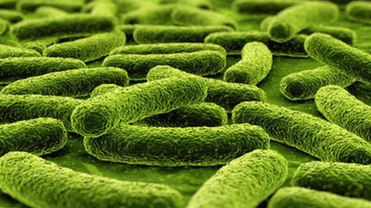 descoperirea care te va ingrozi dupa ce vei citi asta vei vrea sa mergi sa faci dus ce se gaseste