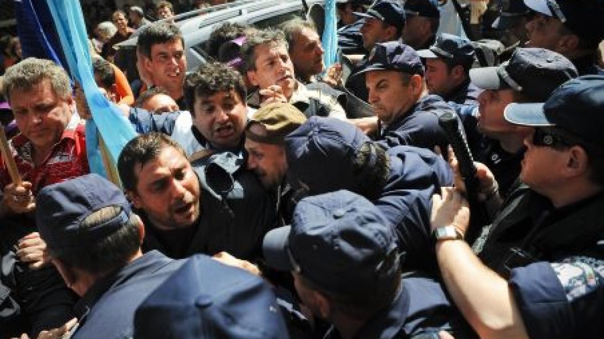 sute de manifestanti ecologisti au blocat o intersectie in sofia ce se va intampla cu padurile