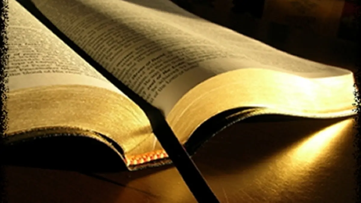 asasinul preotului de la focsani s a folosit de texte biblice pentru a se apropia de acesta