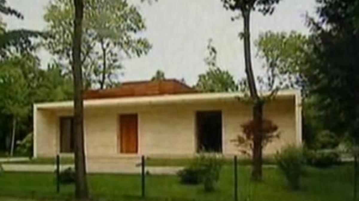 cum s a imbogatit gheorghe stelian din afacerile cu statul un reportaj exces de putere