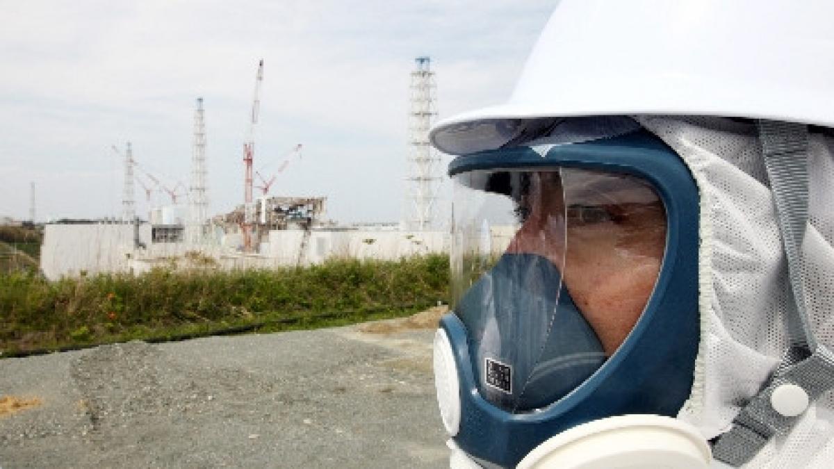 japonia revine la energia nucleara kepco va porni doua reactoare in urmatoarele saptamani