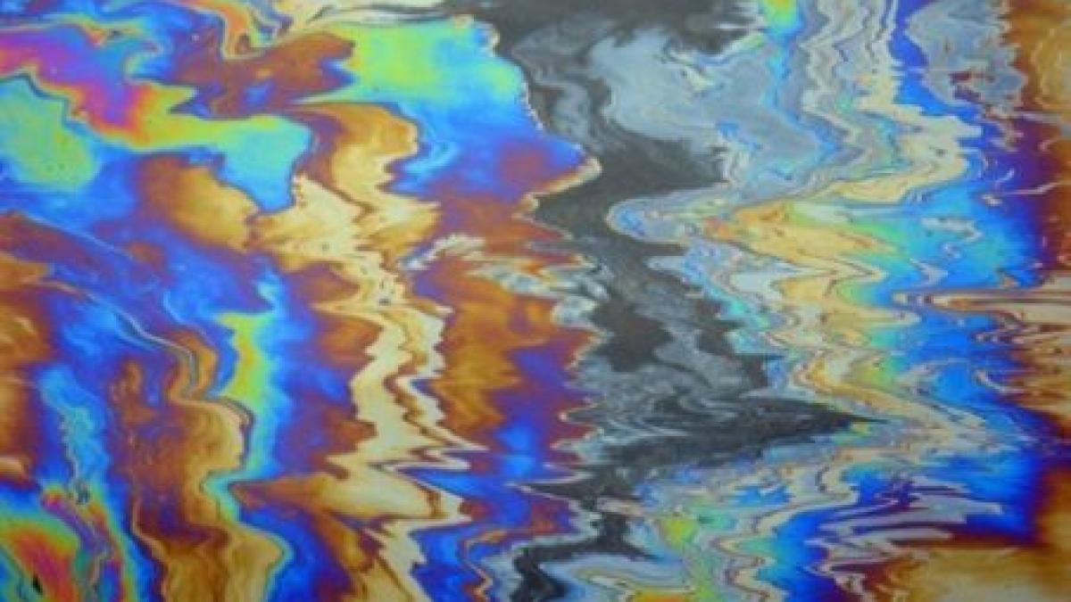 petrol in apa marii pe raza plajei din mamaia oficialii spun ca furtuna puternica este de vina