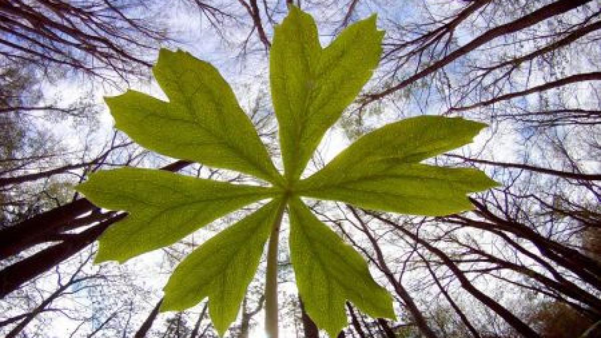 economia protejarii planetei umanitatea traieste la limita nu ne mai permitem sa nu luam atitudine