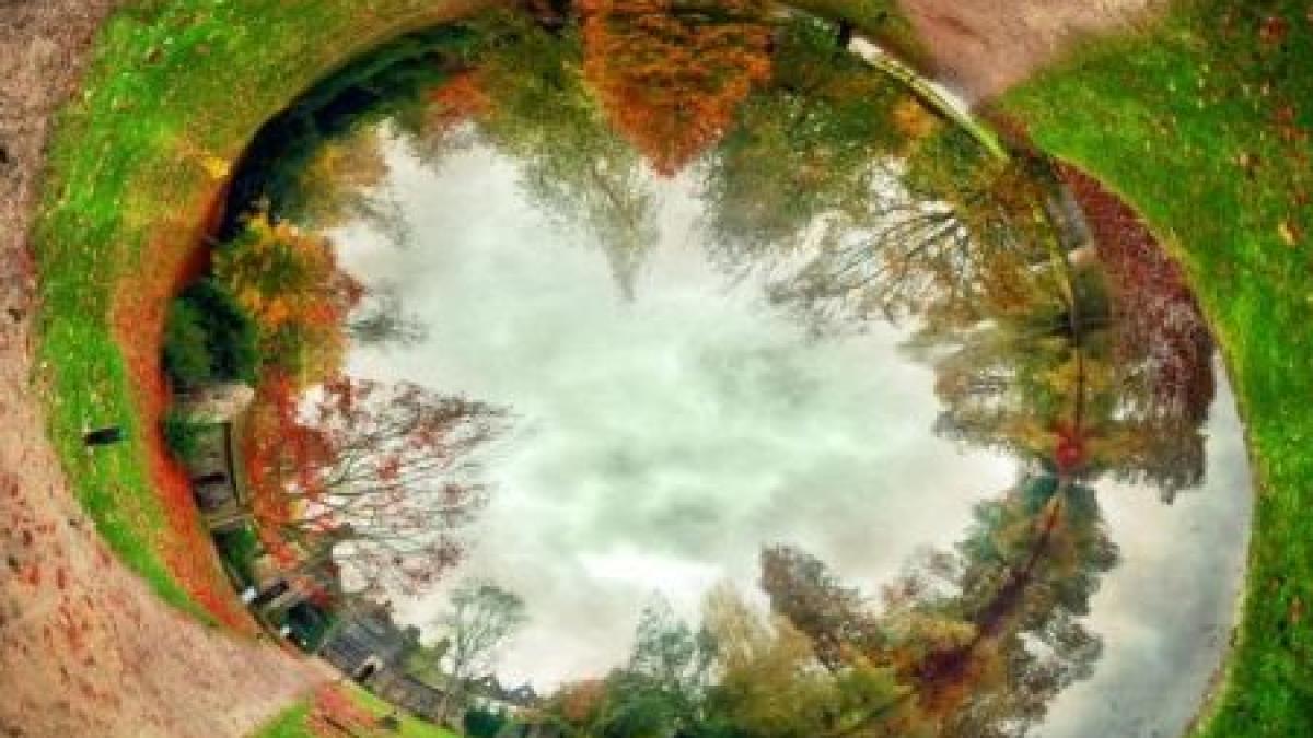 intreaga lume se invarteste chiar in fata ta intra in joc si roteste te cu ea este o distractie