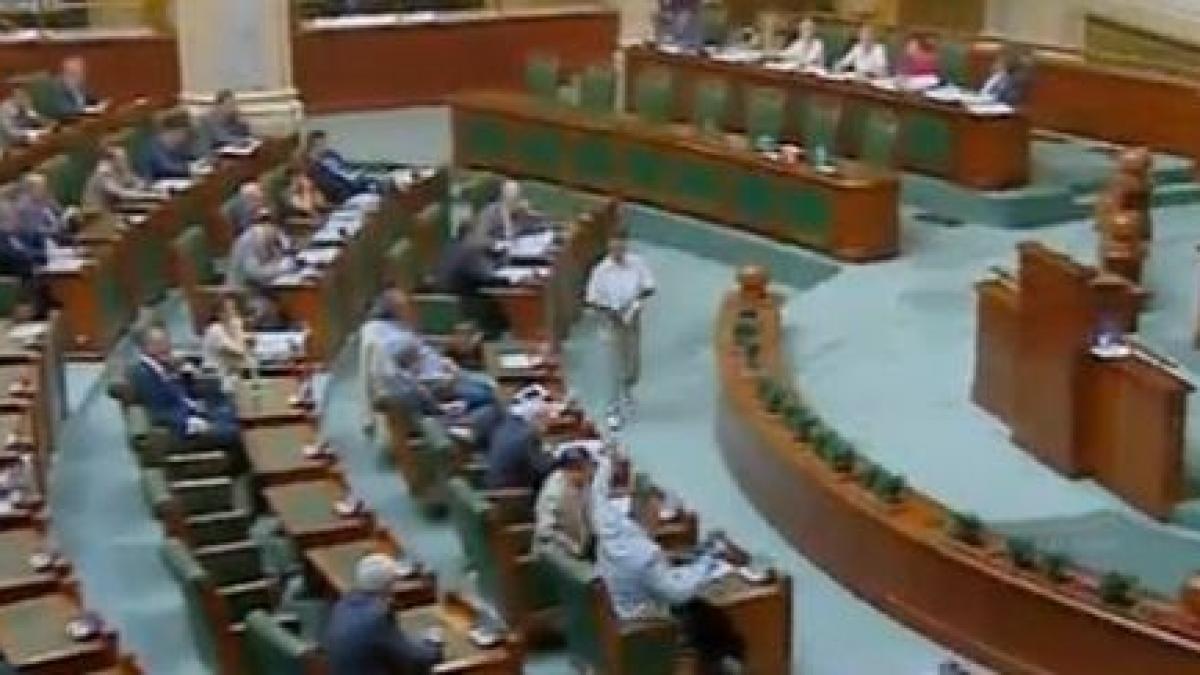 scandal in senat pe suspendare vasile blaga a acordat o pauza de consultari