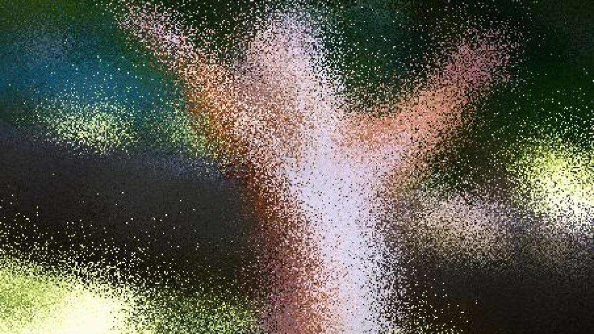 animalul care a uimit o lume intreaga a fost surprins rugandu se