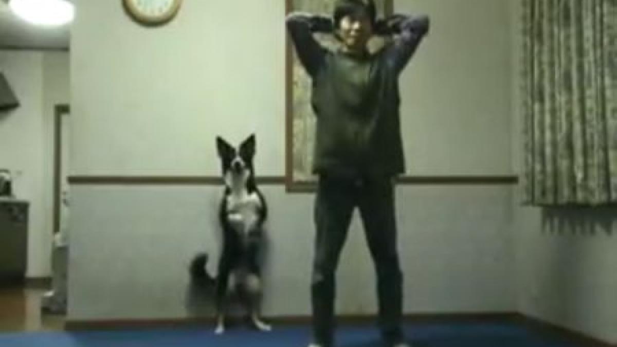 cel mai simpatic profesor de sport cainele care face genuflexiuni alaturi de stapan